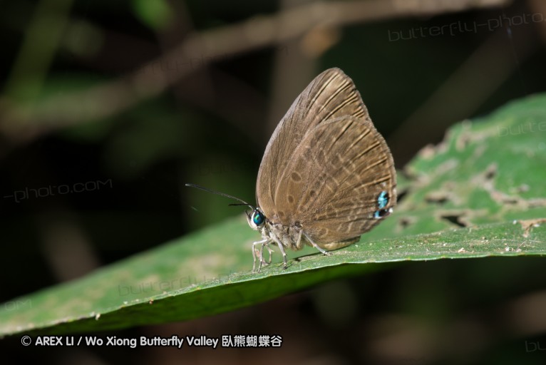 140209_sg_22.jpg