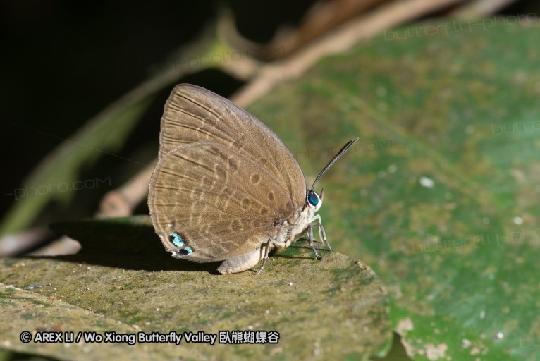 140209_sg_23.jpg