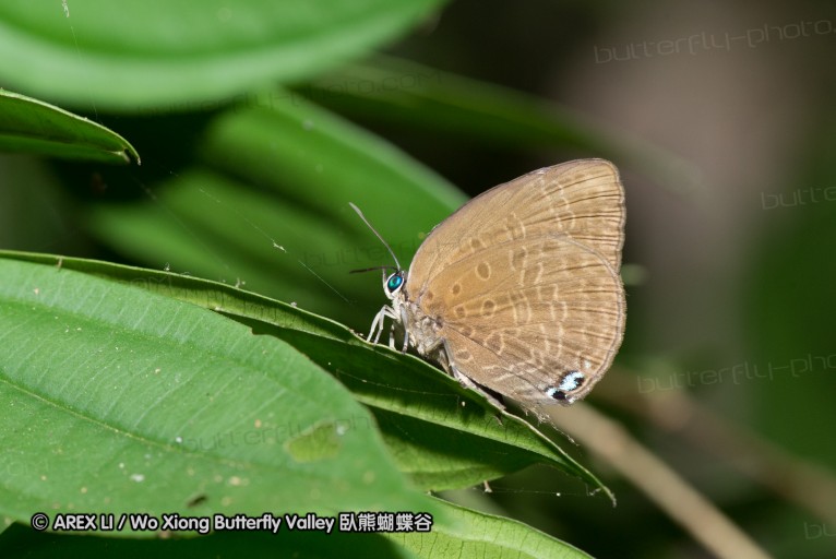 140209_sg_25.jpg