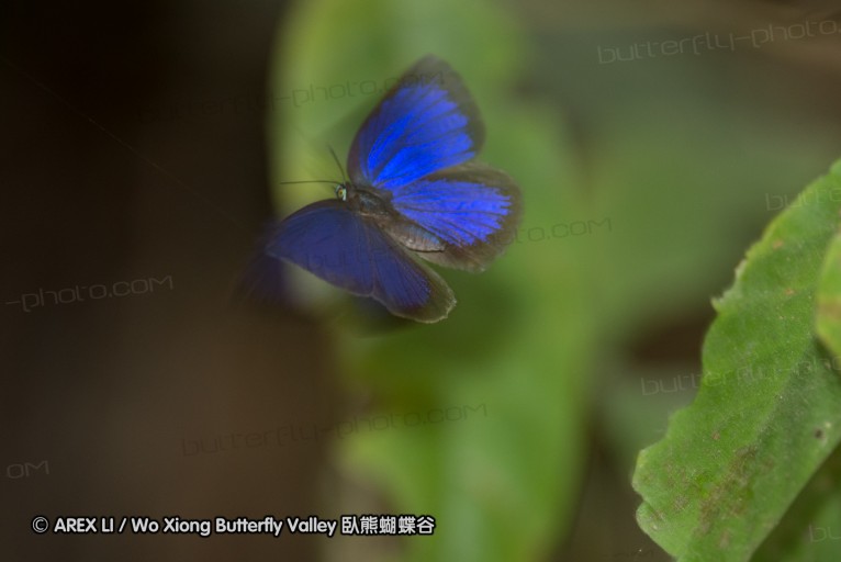 140209_sg_28.jpg