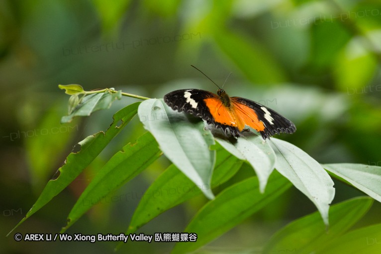 140209_sg_30.jpg