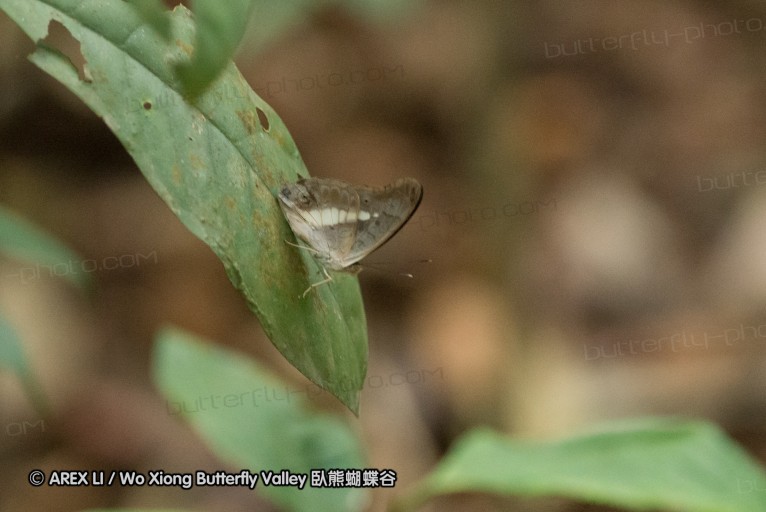 140209_sg_43.jpg