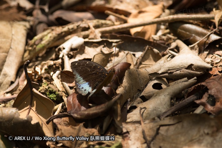 140209_sg_45.jpg