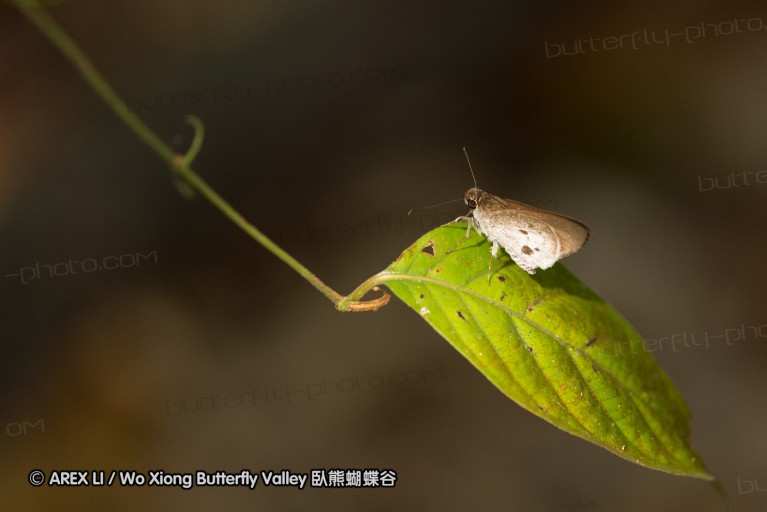 140209_sg_55.jpg