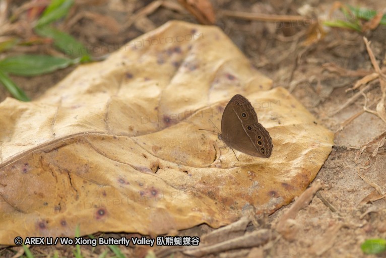 140209_sg_68.jpg