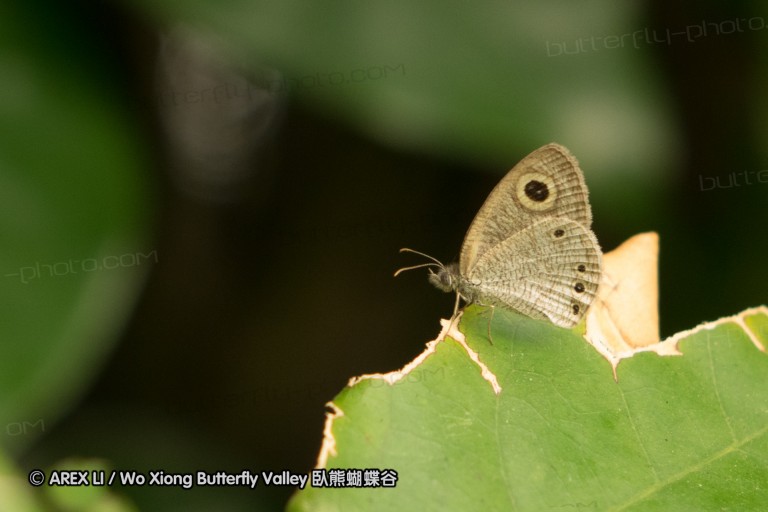 140209_sg_69.jpg
