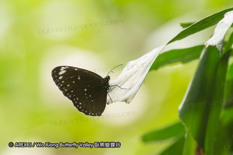 140211_sg_16.jpg