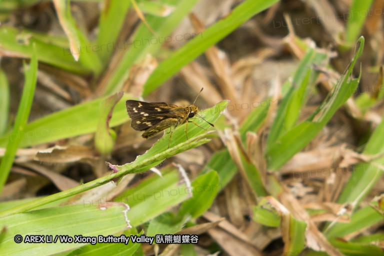 140211_sg_20.jpg