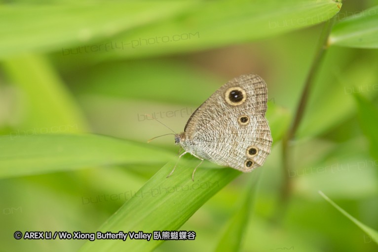 140211_sg_23.jpg