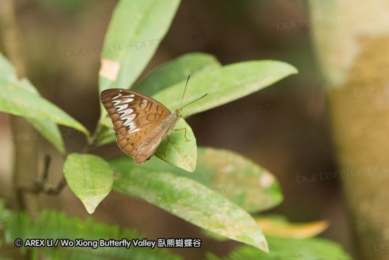 140211_sg_28.jpg