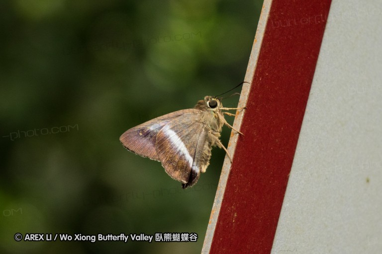 140211_sg_30.jpg