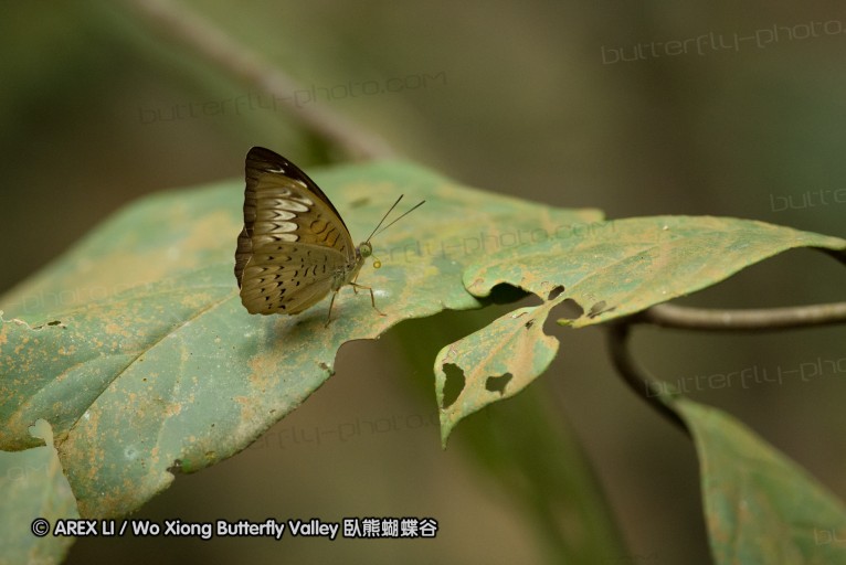 140211_sg_33.jpg