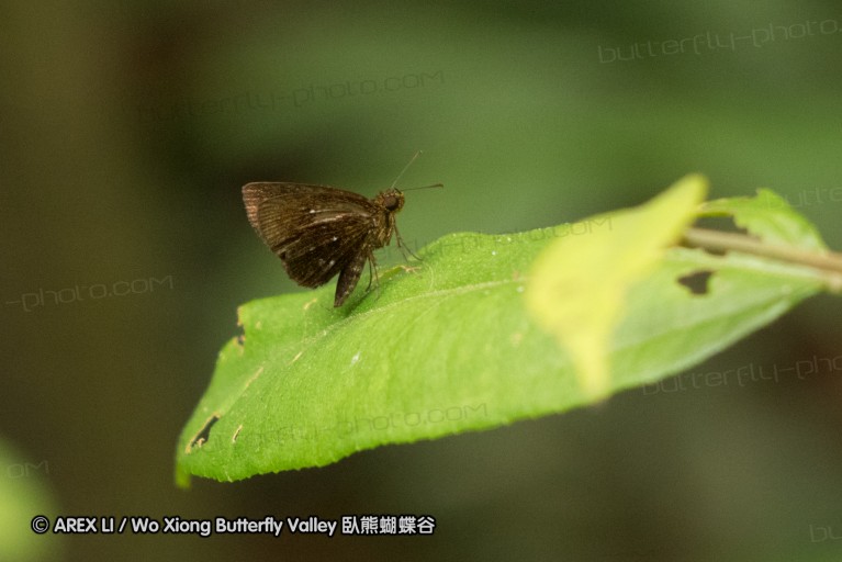140211_sg_36.jpg