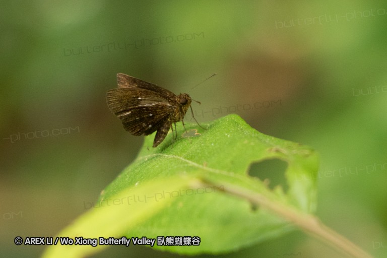 140211_sg_37.jpg