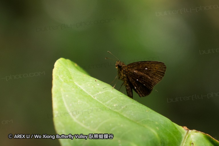 140211_sg_40.jpg