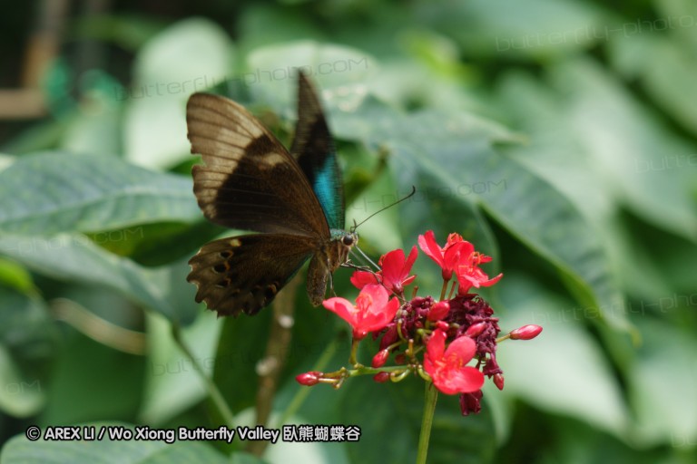 140212_sg_03.jpg