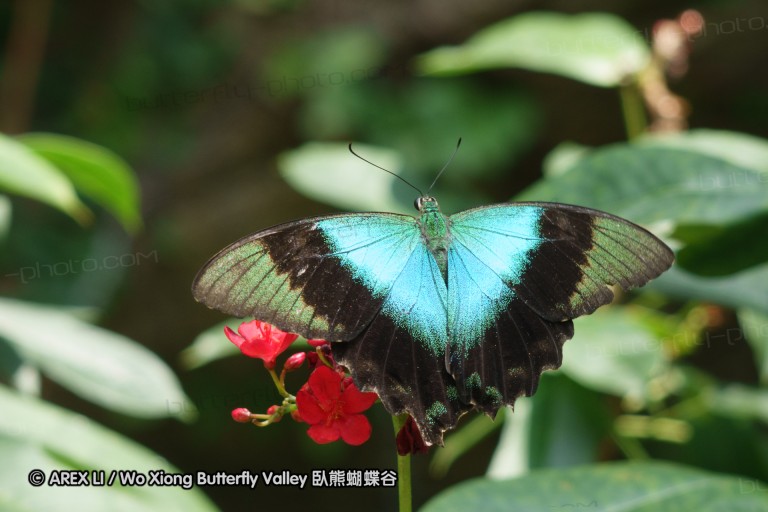 140212_sg_04.jpg