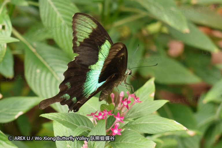 140212_sg_07.jpg
