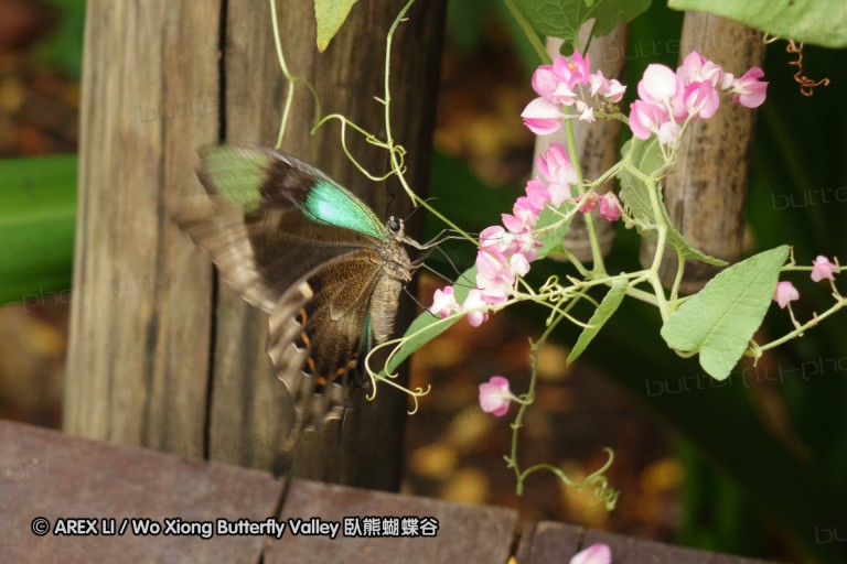 140212_sg_08.jpg