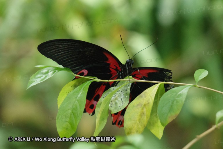 140212_sg_28.jpg