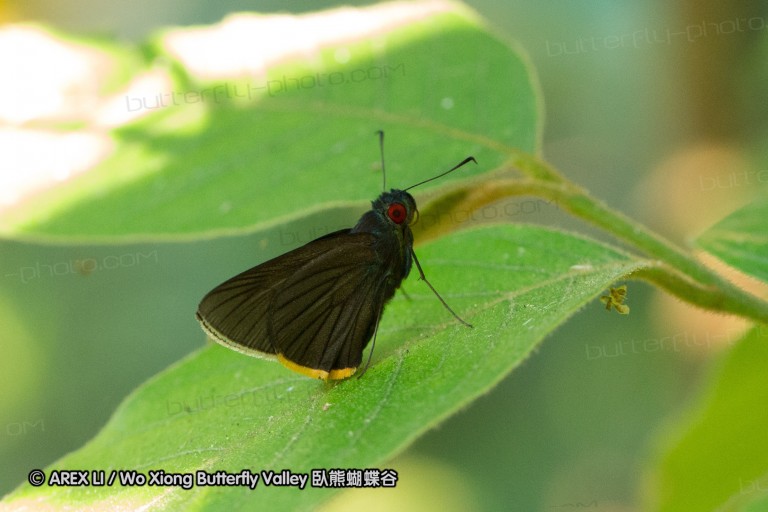 140308_inthanon_082.jpg