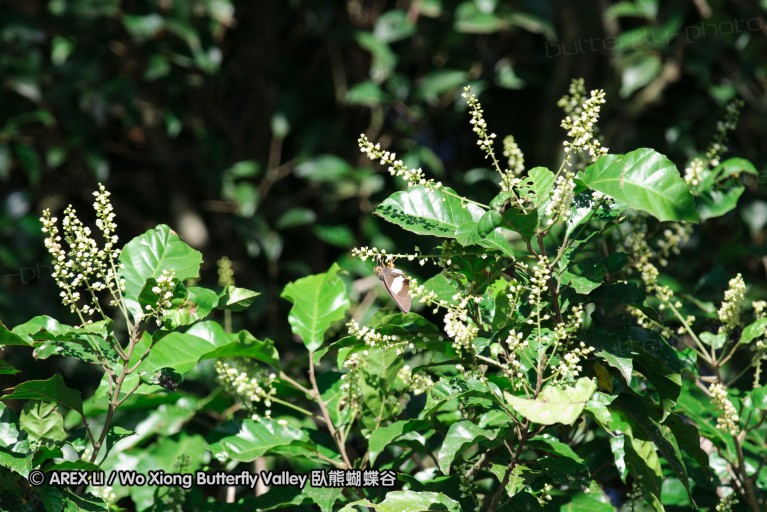 140418_eshowe_023.jpg