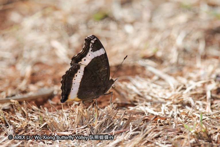 140418_eshowe_131.jpg