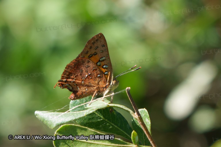 140418_eshowe_135.jpg