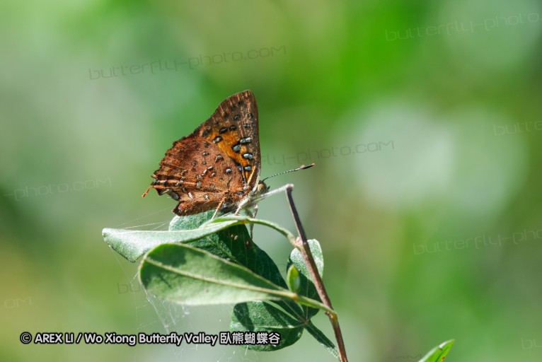 140418_eshowe_136.jpg