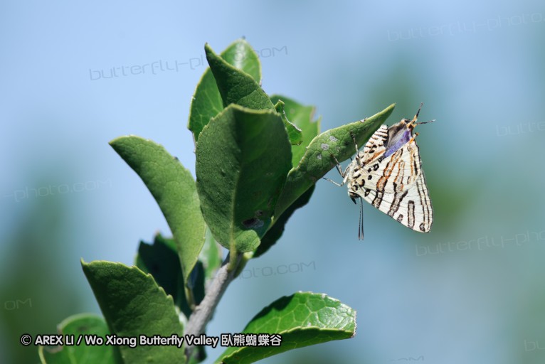 140418_eshowe_141.jpg