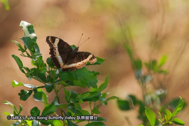 140418_eshowe_167.jpg
