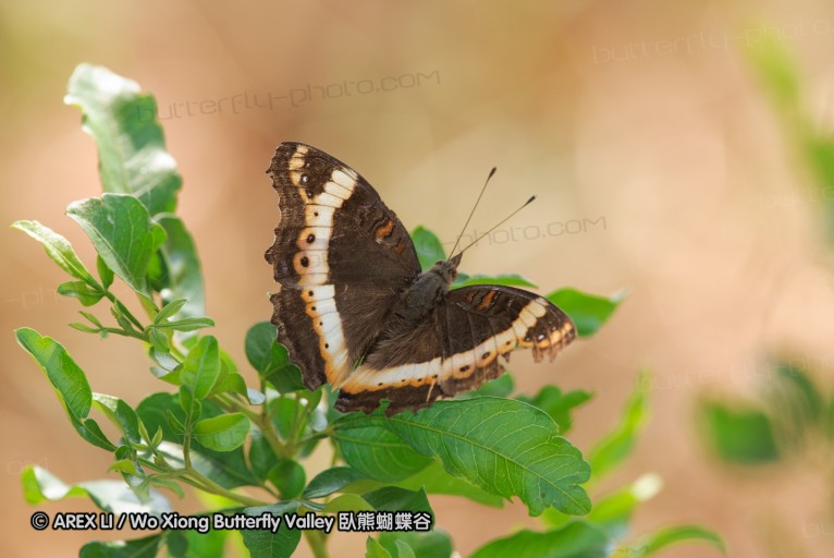 140418_eshowe_168.jpg