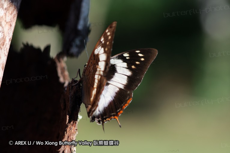 140418_eshowe_216.jpg