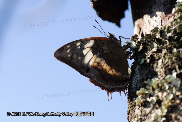140418_eshowe_219.jpg