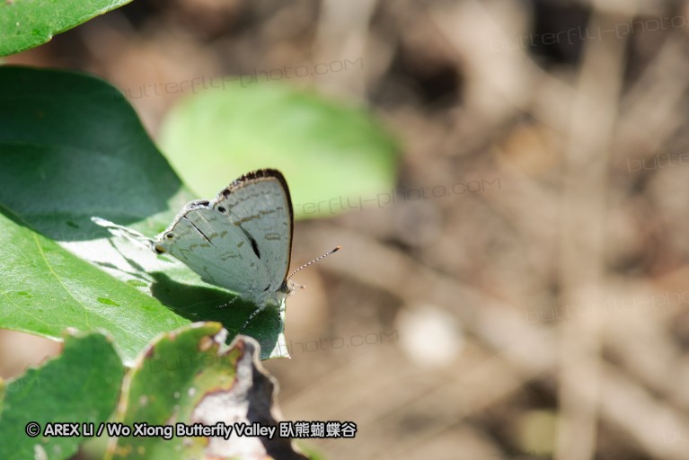 140420_hjohnson_090.jpg