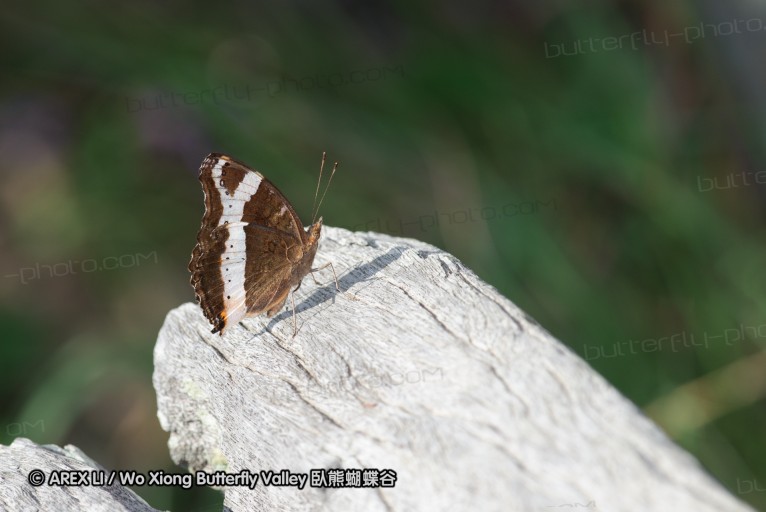 140420_hjohnson_119.jpg