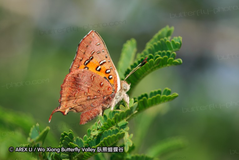 140420_hjohnson_171.jpg