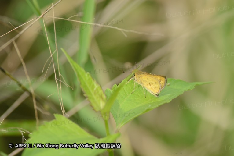 140423_manguzi_064.jpg