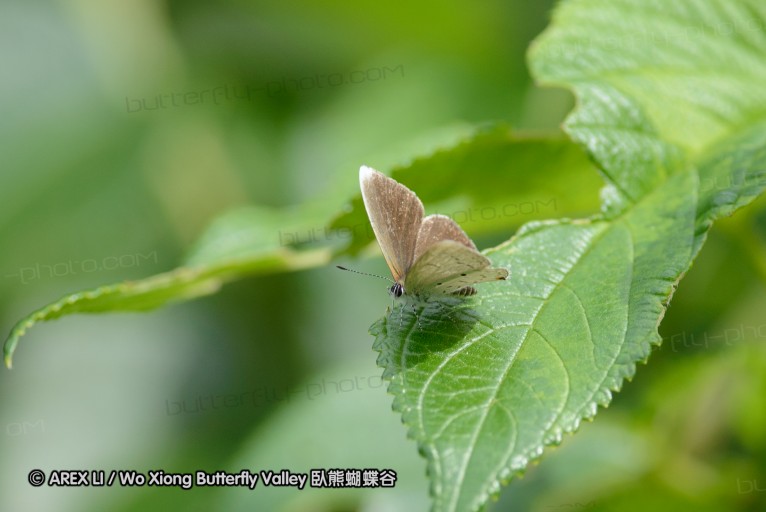140423_manguzi_075.jpg