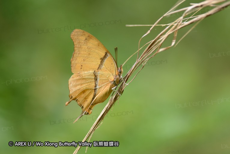 140423_manguzi_079.jpg