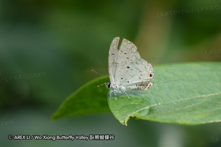 140423_manguzi_081.jpg