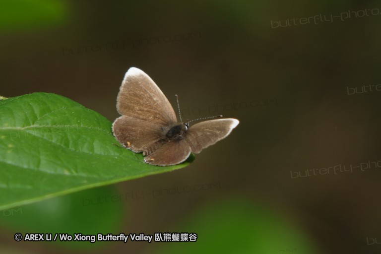 140423_manguzi_082.jpg