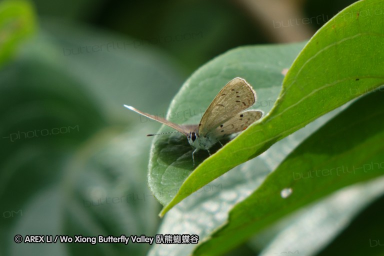 140423_manguzi_083.jpg