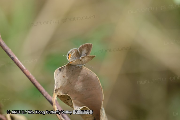 140423_manguzi_088.jpg