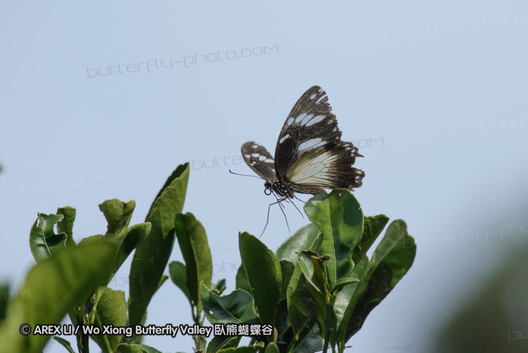 140423_manguzi_098.jpg