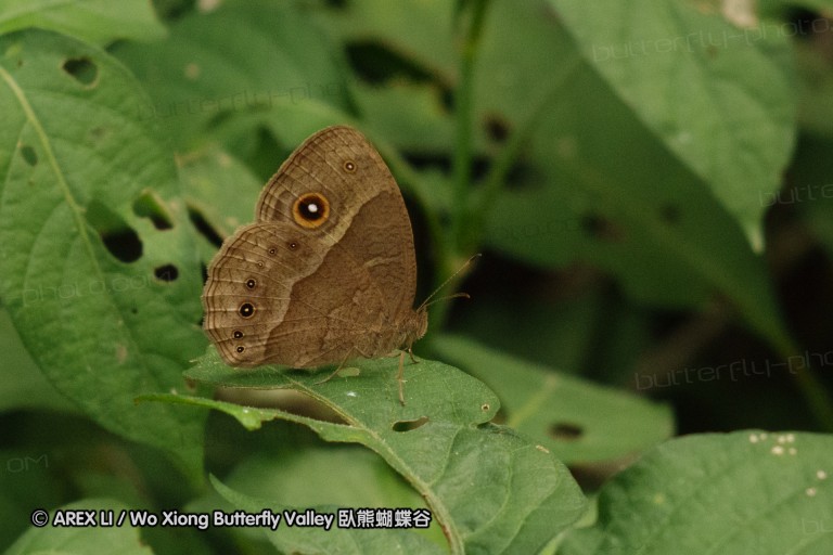 140423_manguzi_105.jpg