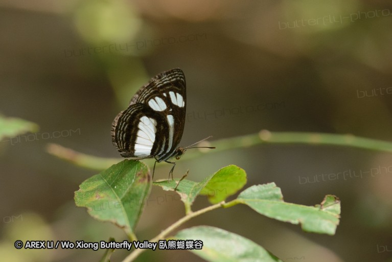140423_manguzi_107.jpg
