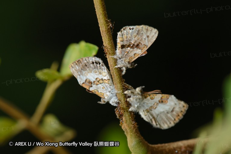 140423_manguzi_110.jpg