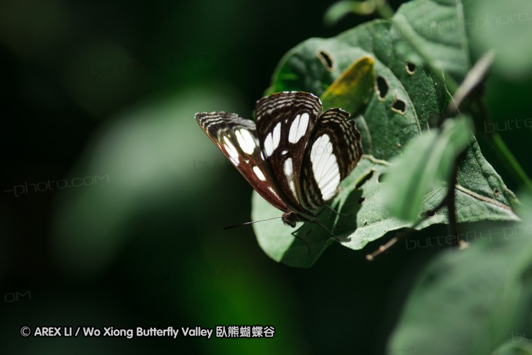 140424_manguzi_009.jpg