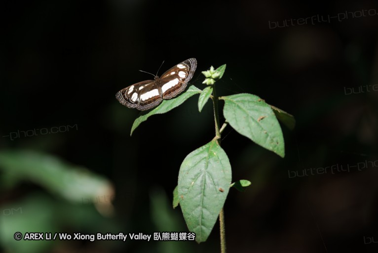 140424_manguzi_016.jpg